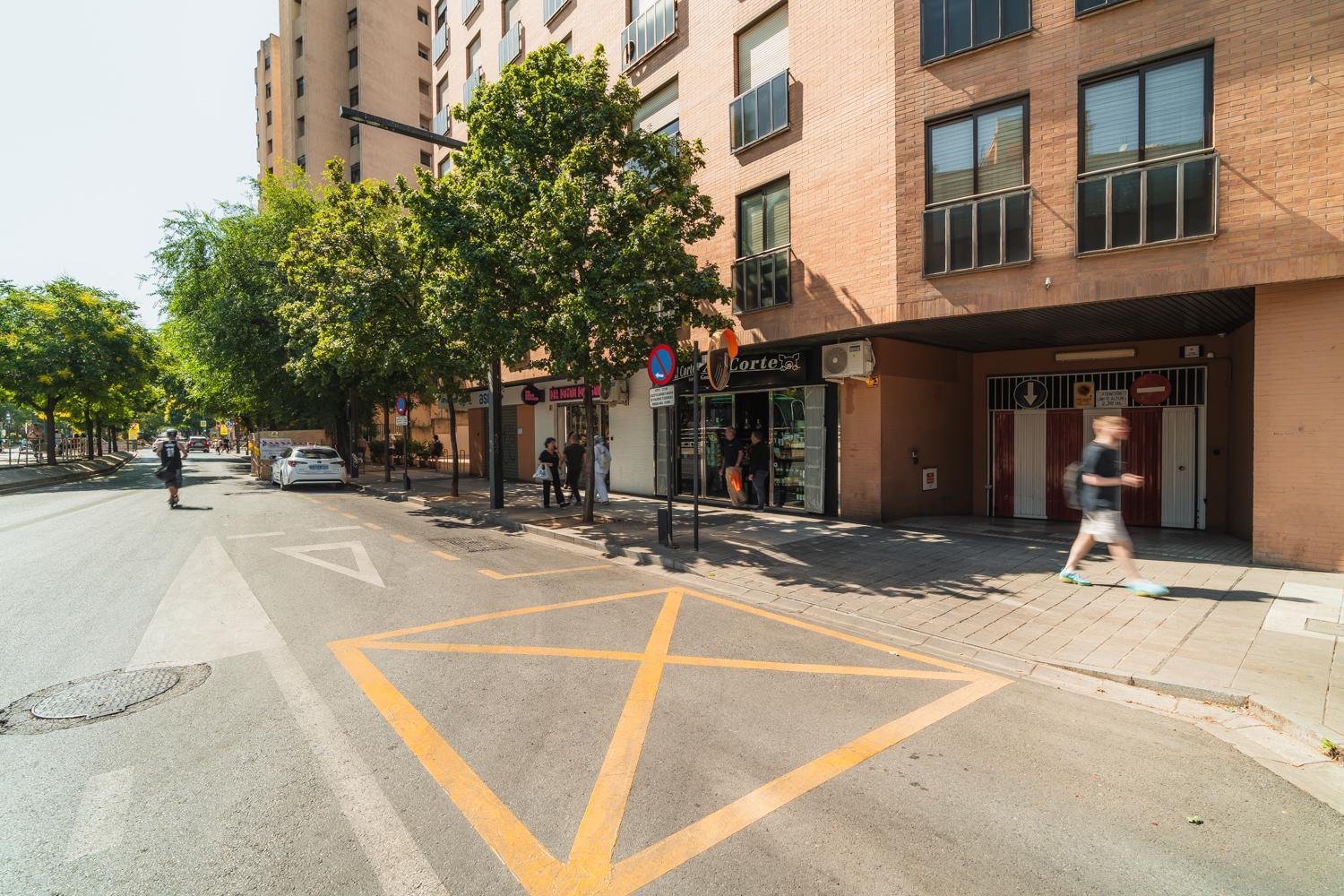 Constitucion Apartment - Free Parking Granada Esterno foto